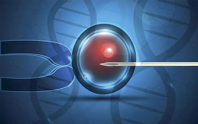 南京供卵排队多少钱?南京试管成功率排名