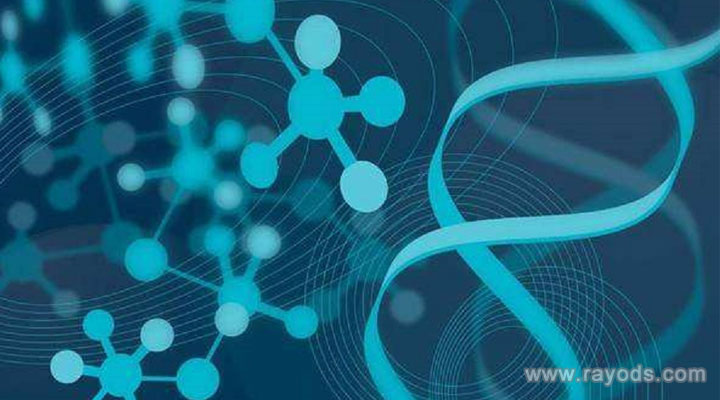 上海试管供卵套餐有哪些,试管供卵网