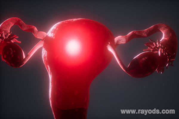 试管代孕网,代孕试管