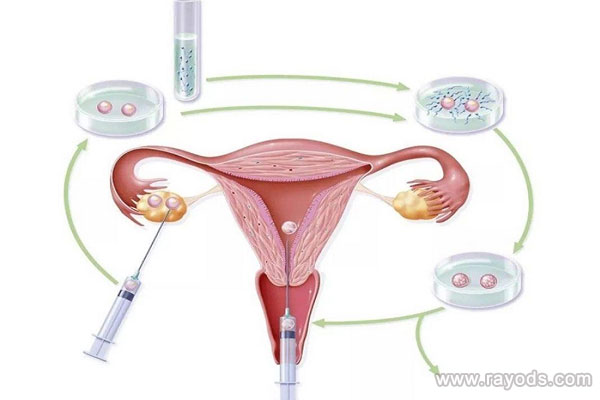 上海最大试管代生医院地址,上海十院试管成功率