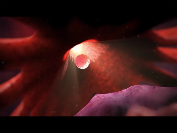 三代试管洗精术的关键作用！2025年辅助生殖健康优化路径