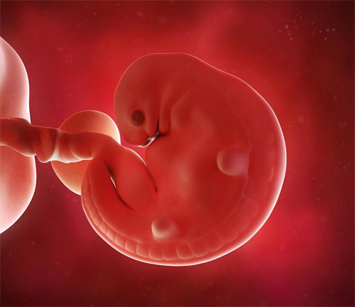 三代试管婴儿助健康家庭圆梦！2025年生育安全新保障