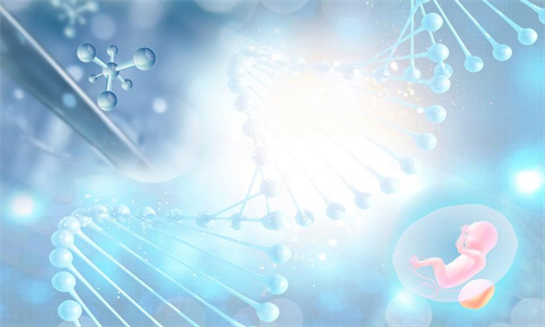 哈尔滨成功率前四试管医院排行榜！推荐2家试管借卵生子好的医院