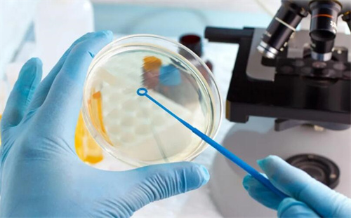 胚胎着床成功的白带是怎样的?试管婴儿胚胎着床成功的症状