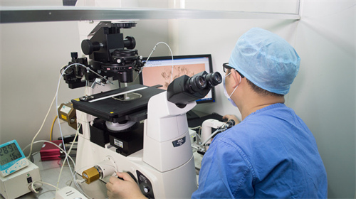 试管桑葚胚胎养成囊胚成功率分析！附影响桑葚胚养成囊胚的因素