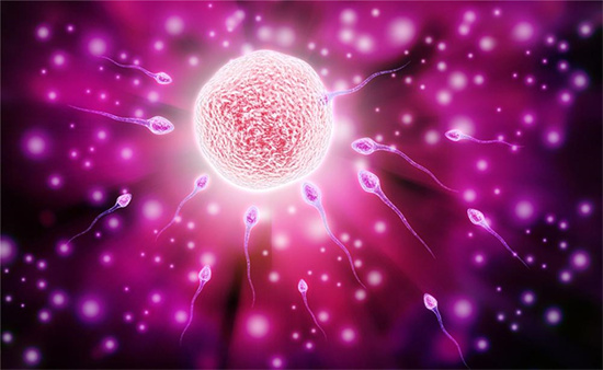 怎么调理精子能够生儿子?男性备孕生儿子应该采用什么方法