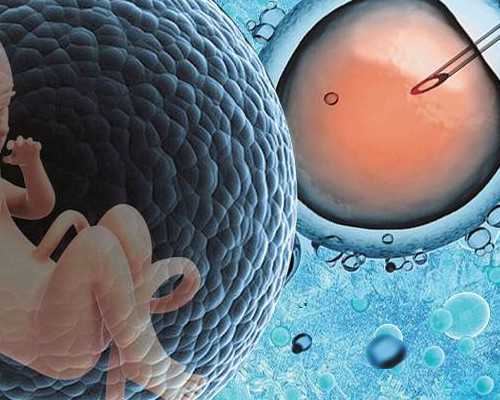 做试管前为什么要查染色体