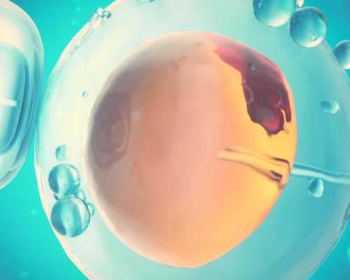 大同试管婴儿双胞胎的那些事儿