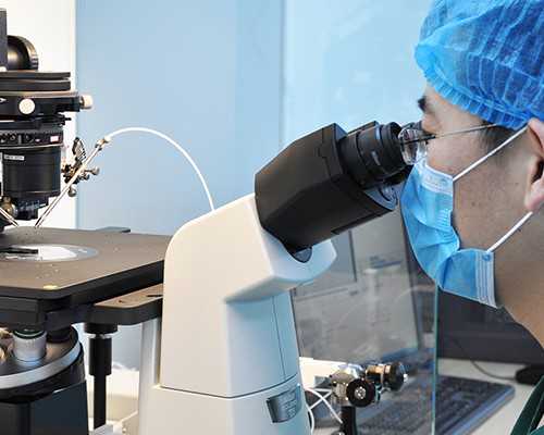 河北做试管婴儿的时间安排以及短效长方案