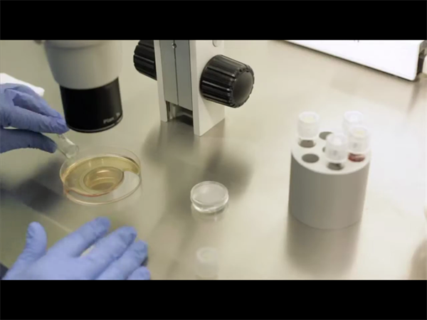 试管婴儿长方案费用全解析！促排卵阶段要花多少钱一文看懂明细