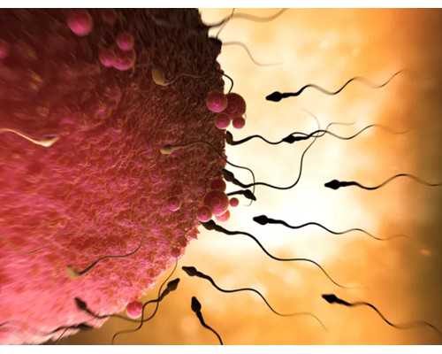 江门做试管婴儿,这几家医院可以看看