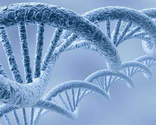 江西哪家试管婴儿机构成功率高