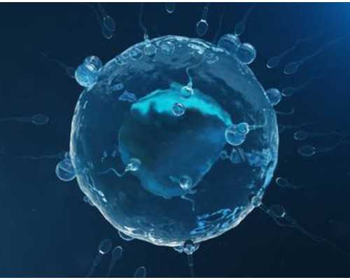 揭阳做试管婴儿有哪些项目？流程和医院都在这了