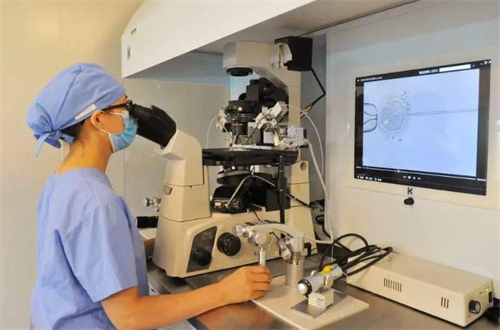 试管婴儿取卵最新标准详解!卵泡大小最小要在这个范围