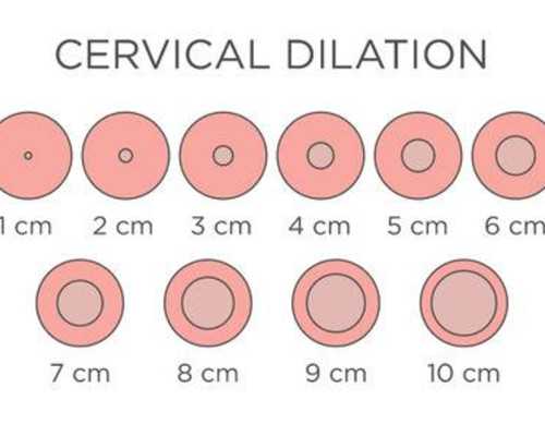 在福州公立医院做三代试管要花多少钱