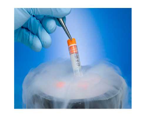 孕期健康与安全锻炼指南