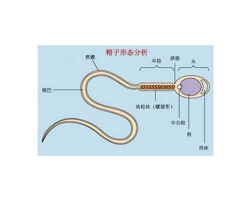 在承德做试管婴儿，成功机会有多大