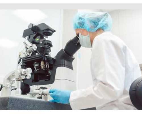 荆州市中心医院试管婴儿费用和成功率介绍