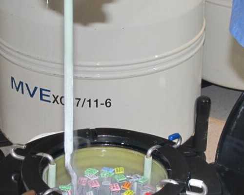 甘肃三代试管医院怎么选?附供精试管经验分享