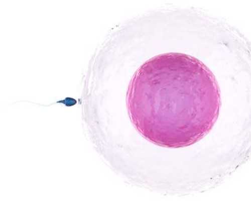 甘肃做试管婴儿,选哪家医院更合适