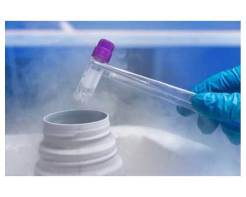 验孕棒怎么用才准?手把手教你正确操作