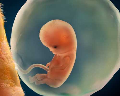 在毕节市人民医院做试管婴儿要花多少钱