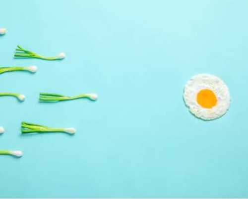 毕节市人民医院做试管要多久?一步步带你了解全过程