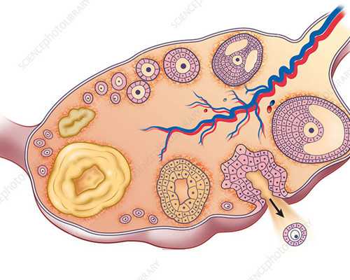 在广州找助孕公司，怎么挑才放心？