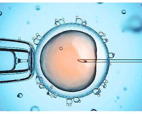 广州有哪些靠谱的助孕公司？