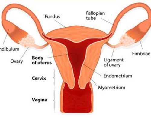 早孕试纸的正确用法，这些细节你可能不知道