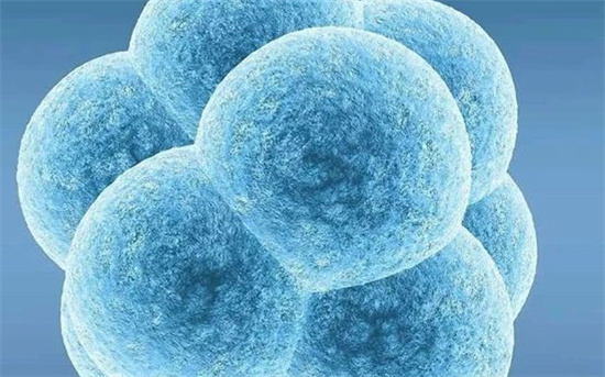 为什么有人供卵试管一次就成功?关键细节首次公开