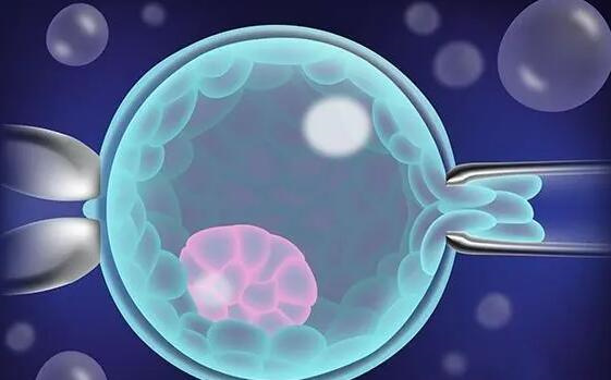 预算有限也能提高供卵试管单次成功率?高性价比方案揭秘