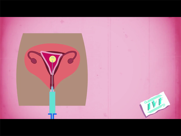 提升供卵试管单次成功率的5大科学策略,助你少走弯路!