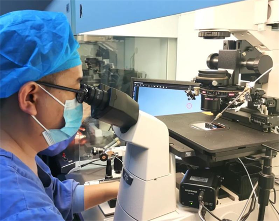 高龄试管成功率受哪些因素影响？从卵子质量到子宫环境全解析