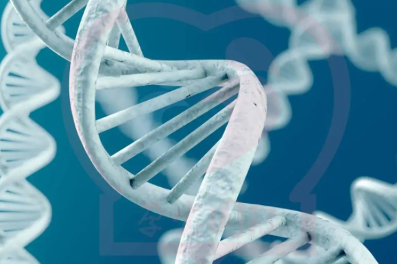 年龄不是唯一标准!哪些高龄人群真正需要三代试管婴儿?