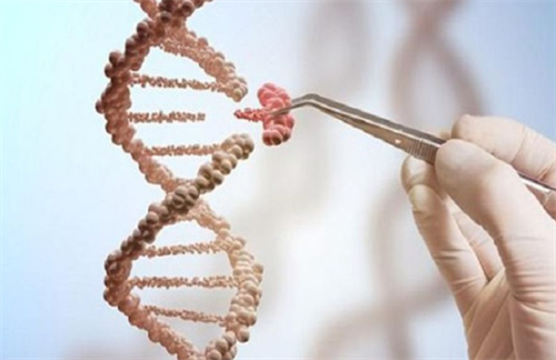 高龄夫妻纠结要不要做三代试管?先从了解流程与费用开始