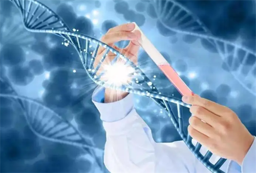 高龄生子必须选三代试管?医生揭晓真实适应人群与误区