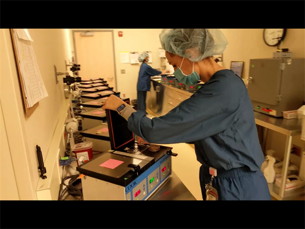 单身女性选择试管常见误区盘点！你可能忽略的关键细节