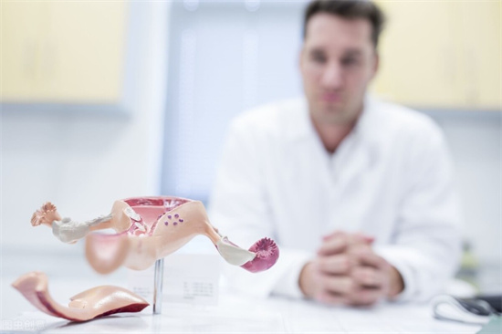 高龄女性移植一个冻胚能成功吗？数据背后的真相揭秘