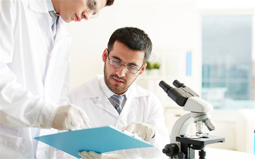 囊胚和卵裂期冻胚移植一个能成功吗？哪种更靠谱？