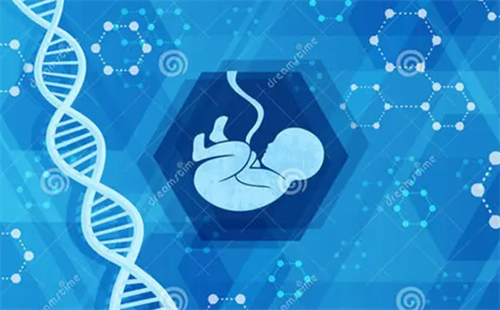 三代试管筛查性别合法吗？这3种特殊遗传病家庭才符合条件