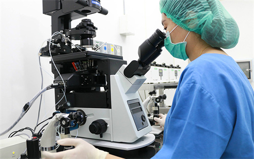 2026上海供精三代试管花费指南：从检查到成功，费用清晰透明！