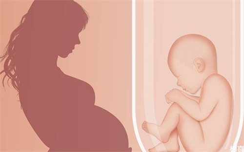 试管婴儿囊胚移植后身体出现这些变化，可能是失败征兆！