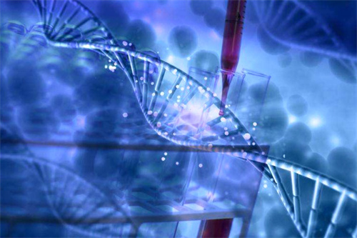 三代试管不是想做就能做！这7类医学指征才是医生认可的“硬条件”