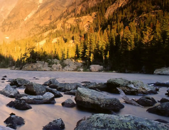 靶向药佩米替尼基因检测应准备哪些材料